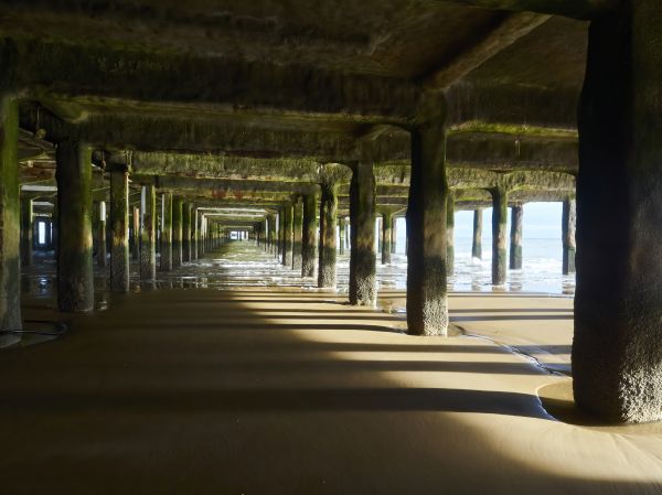 Concrete Pier Repair in Westland